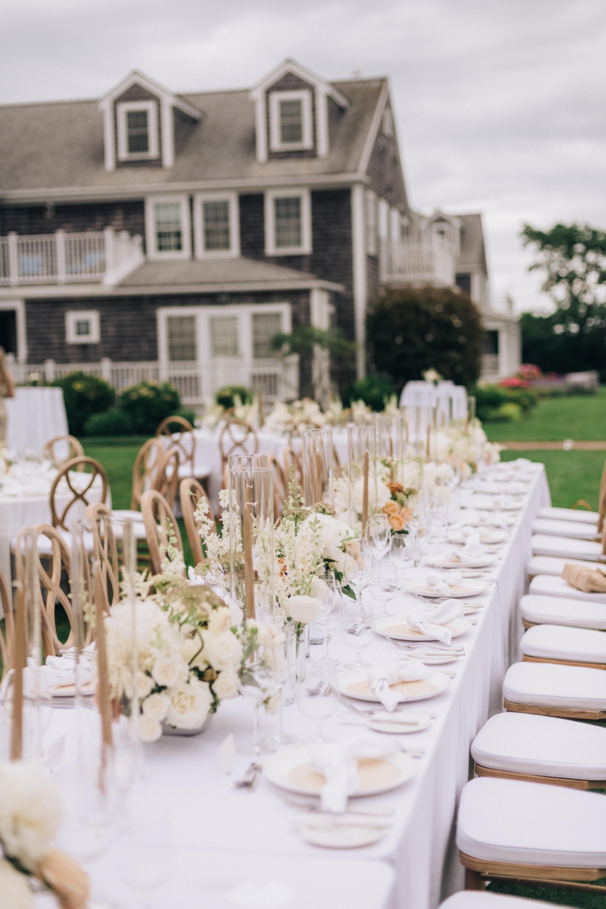 Island palette reception 